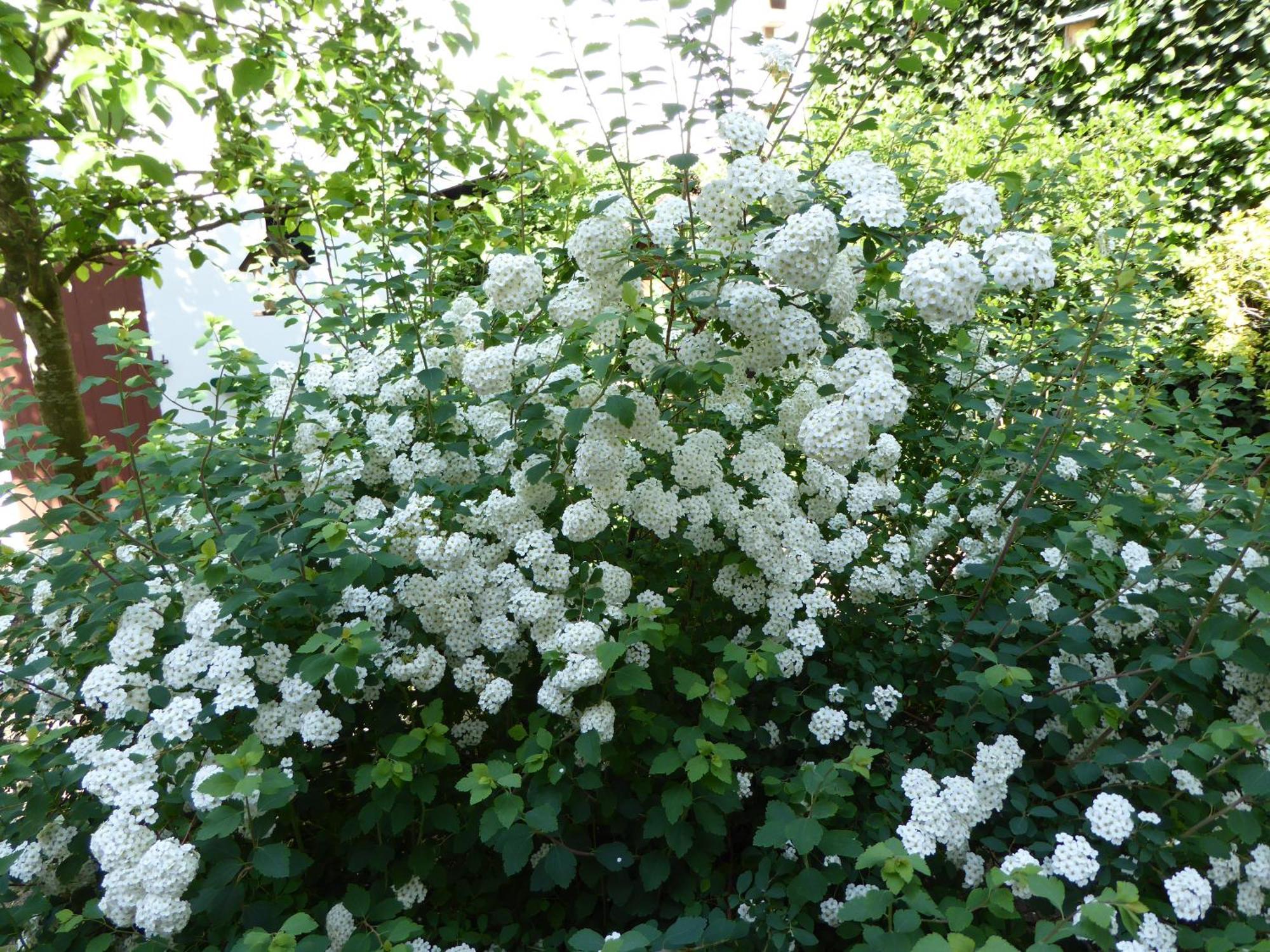 Ferienwohnungen Marmulla 索尔陶 外观 照片